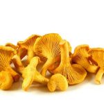Cogumelos Finferli